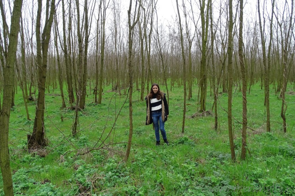 naturaleza checa