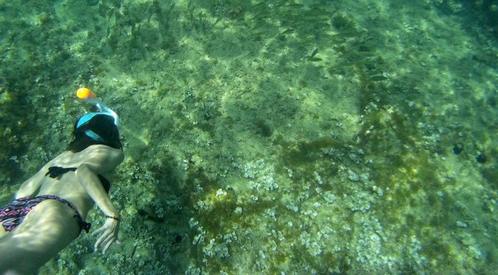 hacer snorkel
