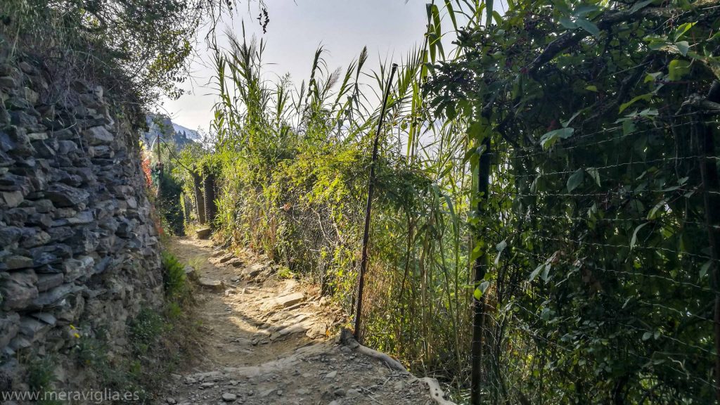 Montaña Cinque Terre