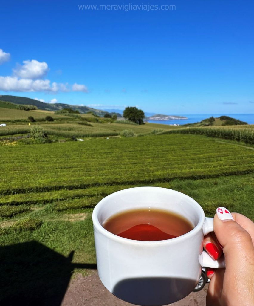 Tomando un té en San Miguel, Azores